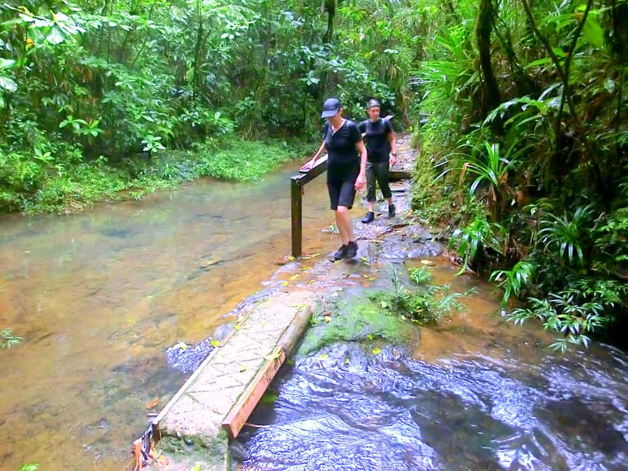 Suva: Fijian Nature and Waterfall Tour - What makes the private format worth US$69?