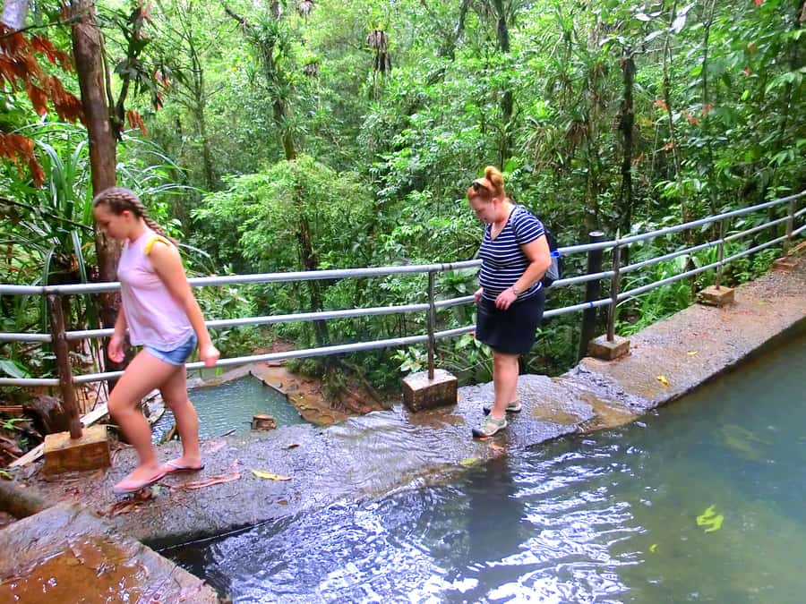 Suva: Fijian Nature and Waterfall Tour - Rain, landslides, and other practical limits