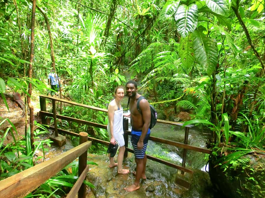 Suva: Fijian Nature and Waterfall Tour - Who should book this waterfall tour?