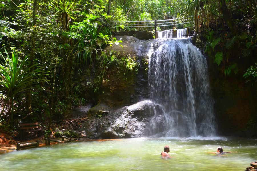 Suva: Fijian Nature and Waterfall Tour - What the rainforest walk is really like