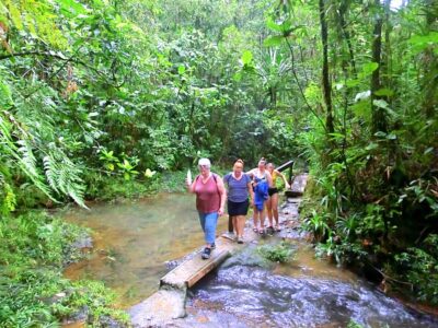 Suva: Half Day City Sightseeing Tour