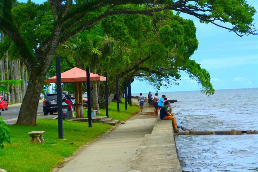 Suva: Half Day City Sightseeing Tour - The municipal market and the practical side of shopping