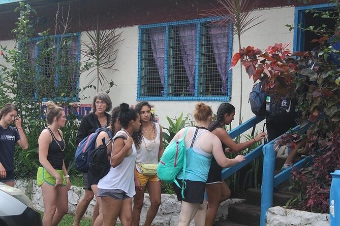 Waterfall and Fijian Village Tour with Light Lunch ex Nadi Area Hotels - Entering the Fijian village