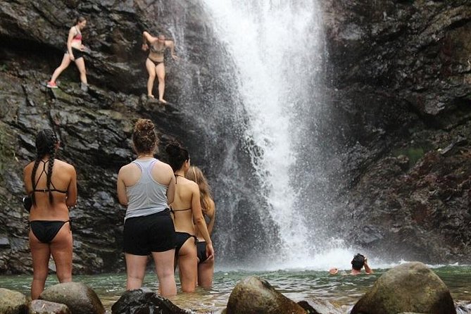 Waterfall and Fijian Village Tour with Light Lunch ex Nadi Area Hotels - What the kava welcome means
