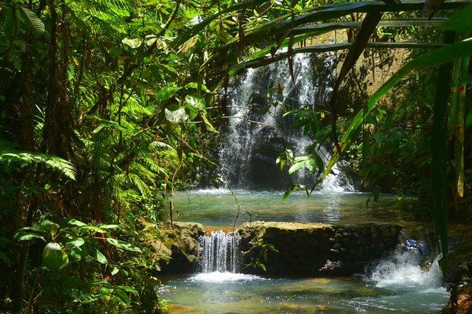Waterfalls and Nature Tour - From Suva to Colo-I-Suva Forest Park