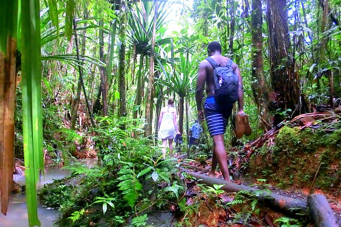 Waterfalls and Nature Tour - How strenuous is the walk?