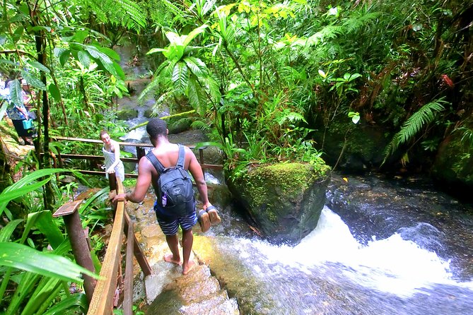 Waterfalls and Nature Tour - What the private format adds