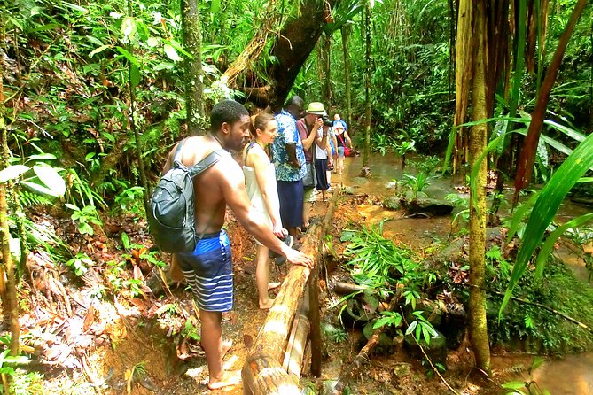 Waterfalls and Nature Tour - Is $91.72 a fair price?