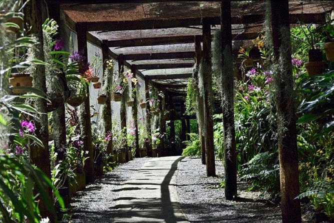 Wonders of Nadi Tour - Hindu Temple, Sleeping Giant Gardens, Markets & Shopping - Timing, clothing, and small details that matter